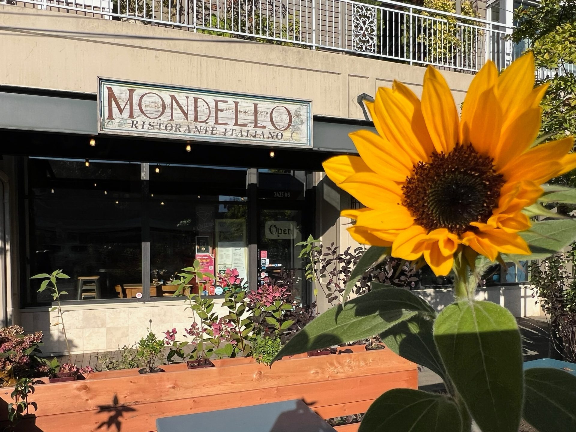 Welcome to Mondello